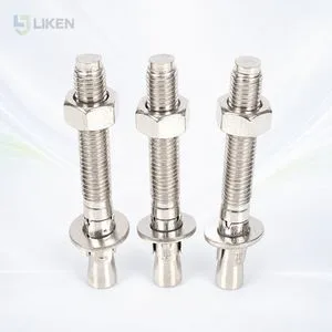 M12 Stainless Steel Concrete Anchor Wedge Bolt for Steel Structure Installation