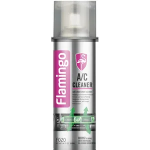 F020 Car A/C Cleaner Foaming Budget-Friendly with Brush Effective Cleaning Spray Cleaner