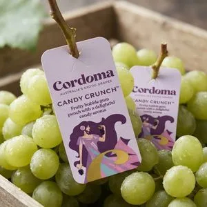 Eco-Friendly Fruit Labels Fresh Produce Packaging Hanging Tags for Grapes with Logo Printing