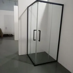 Black Square Two-Door Shower Enclosure for Corner of Bathroom