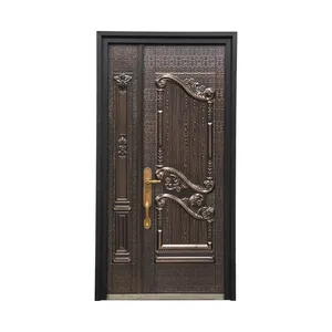 Good Market Popular Style Unique Design Front Entrance Main Panel Steel Door