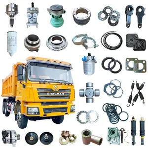 Engine Transmission Chassis Brake Systems Axles Hubs Tires Cabs for Shacman Truck