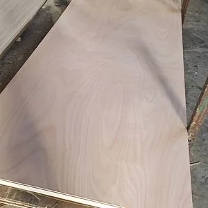 4X8 Commercial Plywood 18mm with Bintangor Okoume Veneer