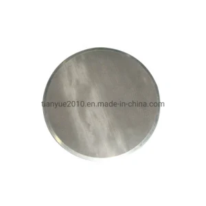Stainless Steel304/Black /Al Covered Edge Filters Dics (TYB-0018)