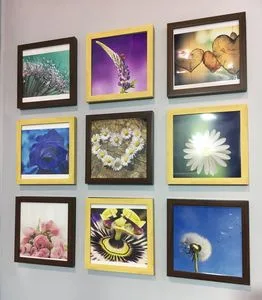 Removal Plastic Photo Frame Can Intall Photos for Repeated Use