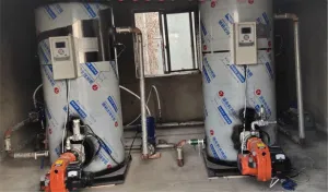 Небольшой газовый дизельный паровой котел для пищевой промышленности