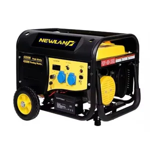 Newland 2500cp Gasoline Generator Manufacturer 2kw Electric Start