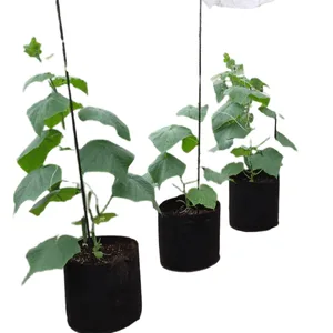 Plant Bag PP/Plastic/Non Woven Fabric Grow Bag for Potato/Garden Planting/Flower Pot