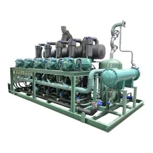 Premium Condensing Unit for Brand Compressors and Freezing Solutions