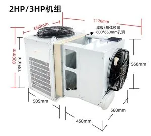 Customized High Performance Durable Air Cooled Refrigeration Industrial Freezer
