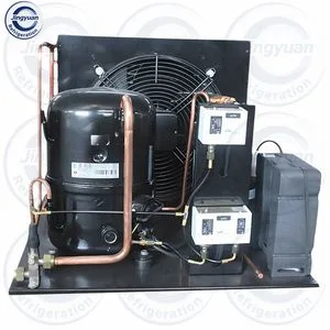 Tecumseh 3HP Original Semi-Hermetic Compressor Condensing Unit for Cold Room