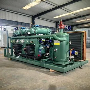Air Cooled Refrigeration Compressor Condensing Unit Cooling Unit for Walk in Freezer Cold Storage Room