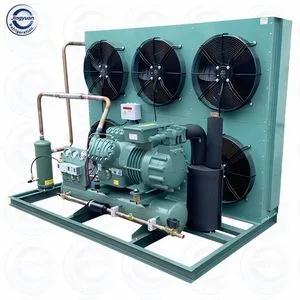 Bit Zer 20HP Refrigeration Compressor Condensing Unit for Walk-in Freezer Cold Storage Room