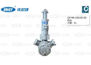 H2 Hydrogen Head Oil-Free Reciprocating Piston Compressor for Sustainable Energy Solutions
