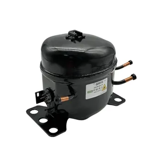110V-220V Lbp R600A R134A R290A R404A Professional Grade Refrigerator Freezer Compressor for Reliable Cold Storage 1/3HP-1/6HP