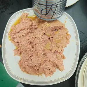 Premium High Protein Halal Wet Dog Food for Optimal Health