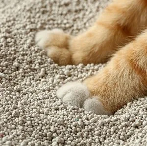 Customized Premium Bentonite Cat Litter Odour Lock Water Soluble Bentonite Clay