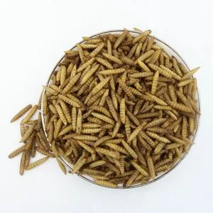 Bsfl Microwave Dried Black Soldier Fly Larvae