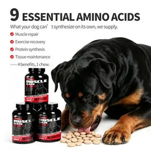 Private Label Dog Muscle Gainer Soft Chews Wholesale High Protein Bully Max Support Pet Energy Supplement