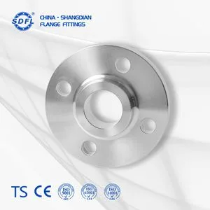 Wholesale OEM BS, ANSI, JIS, DIN 304L Stainless Steel Forged Weld Neck/Slip on/Blind/Klein/Sight Glass Forged Ss Welding Pipe Joint Flange Factory Price
