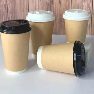 Disposable Excellent Insulation Sugarcane Fiber Double Wall Hot Drinking Coffee Paper Cup