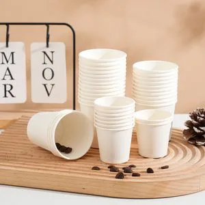Customized Paper Cup Eco-Friendly 6oz 8oz Disposable Cup Double Wall Paper Ice Coffee Paper Cups Tea Cup