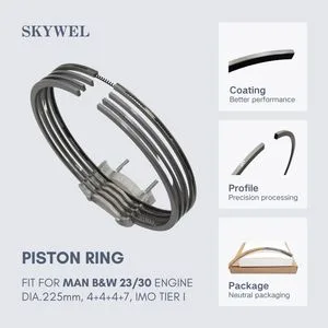 Man B&W 23/30 Piston Ring Engine Parts for Marine Diesel Engine 225mm Imo Tier I 50601-01h-093
