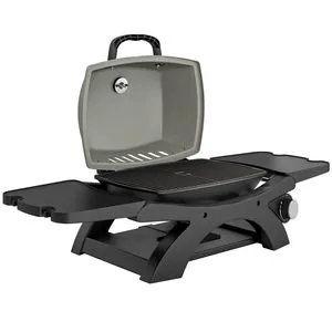 Outdoor 18 Inch Portable Gas Grill Barbeque Gas Grill for Camping Portable Gas Grill with Side Table