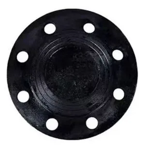 ANSI B16.5 Steel Flange for Standard Industrial Pipeline Fitting