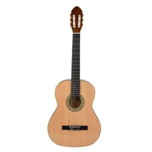 Customised Hand Made 39 Classic Guitar