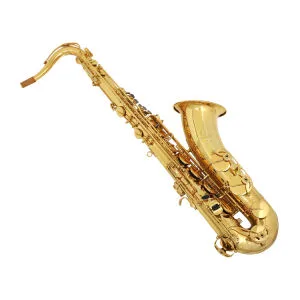 Professional Tenor Sax /High Quality Saxophone, Made in China