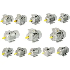 Durable Centrifugal Pump for Marine and Chemical Industries Frequency AC Asynchronous Motor for Construction Machinery