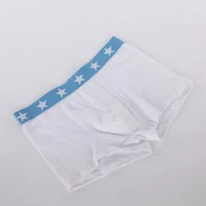 Popular Soft Hand Feeling Cotton Kids Underwear, Children Underpants