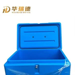 Emergency Rapid-Deployment Mobile Dry Ice Shipping Box for Disaster Relief Cold Chain with CE PED Certification & Mobility Wheels Model Dsb-Em-24