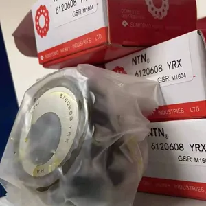 NTN Koyo NSK Eccentric Bearing 6120608 Yrx Cylindrical Roller Bearings