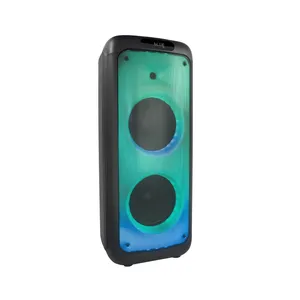 Tms-1035 Дистрибьютор Temeisheng Двойной 10 Дюймовый FM Аудио Bluetooth DJ Портативная Колонка для Вечеринок