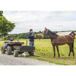 Durable Single Axle Box Trailer for Heavy-Duty Use