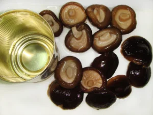Canned Shiitake Whole Mushroom Goods with Cheappest Price