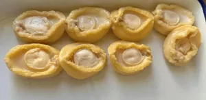 Canned Food Canned Seafood Shell Fish Canned Abalone Oversea Chinese Favorite Abalone in Brine for Whole Sale
