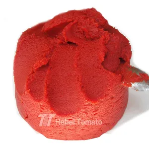 Factory First-Hand Best Price Tomato Paste Canned 70g 210g 400g 2200g