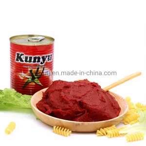 Customized OEM Brand Tomato Sauce Canned Tomato Paste with High Quality