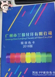The Factory Has 1000 Kinds of Color 900d Polypropylene Yarn
