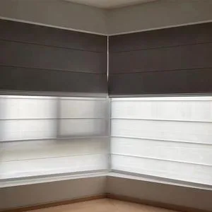 Wholesale Modern Electric Double Roman Blind