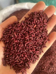 High Quality Functional Food Ingredients Organic Fermented Red Yeast Rice