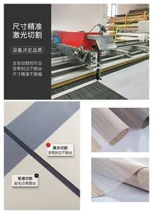 Premium Motorized Solar Zebra Roller Blinds for All-Day Comfort