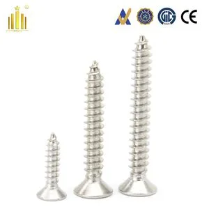 High-Quality DIN7982 SS304 and SS316 Flat Head Tapping Screws for Professionals