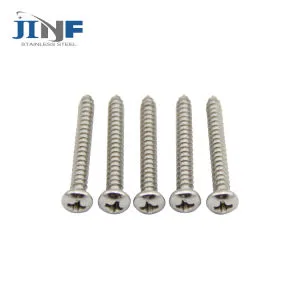 Stainless Steel 202 304 316 DIN7981 DIN7982 Self Tapping Screw