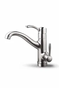 Elegant Bathroom Water Fixture with Modern Double Handle Faucet