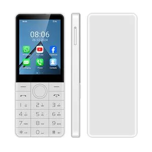 Doov R77 Privacy Focused Keypad Phone Android 13 No Camera Dual SIM 4G