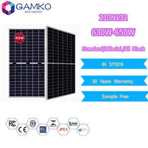 Trina/Ja/Jinko/Longi Double Glass Bifacial Solar Panel PV Modules 630W 640W 650W